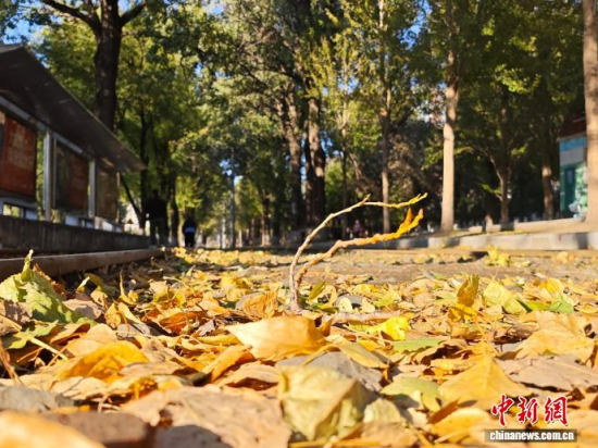 �S��54·��܉�܇�ؾ��h(hu��n)��������������߅�L(f��ng)ò�����������S���~䁝M·�������� ���z