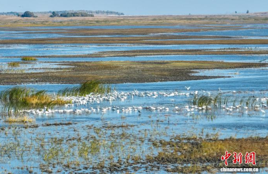 10��16��������ĪĪ����Ҽ���Ȼ���o�^(q��)��(n��i)�������ڑ�ˮ��(�o�˙C��Ƭ)�w��� �z