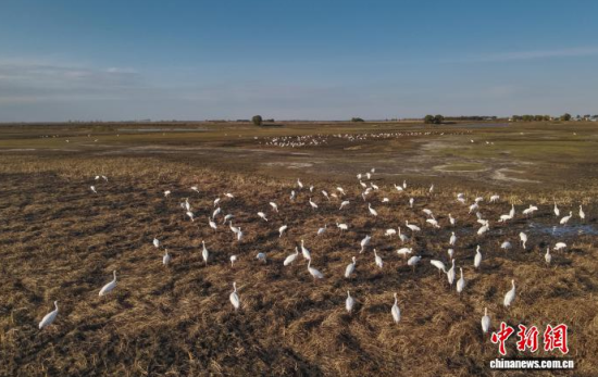 10��16�գ��ڼ���ĪĪ����Ҽ���Ȼ���o�^(q��)��(n��i)���Q����Ϣ��(�o�˙C��Ƭ)�w��� �z