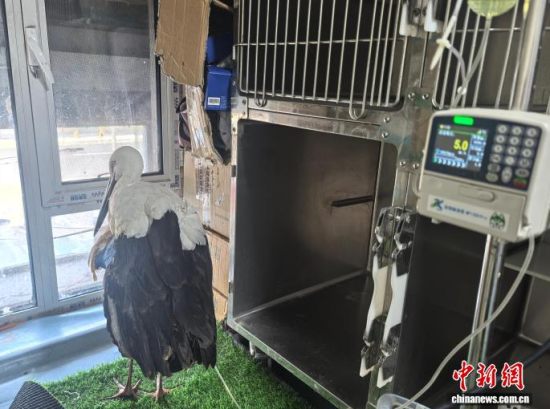 �܂��Ė|�����X���ڽ���ݔҺ�ί�����ʯ���� �z