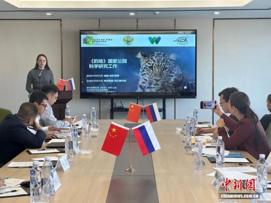 ���_˹���ҷ������o�|������(j��ng)��������� �z