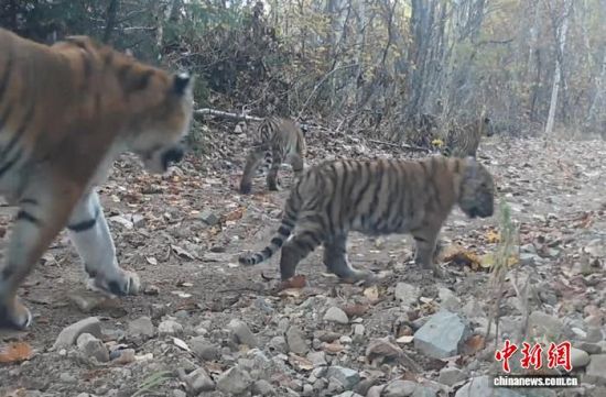 2025���ږ|���������ҹ��@�Ĕz���Ė|������(��ҕ��ý���D)