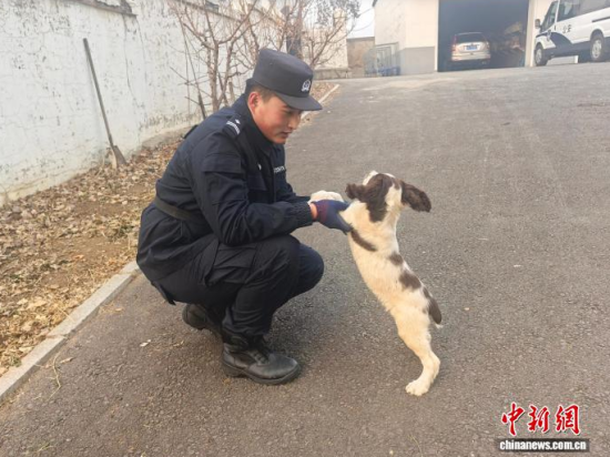 ���Ҳ������c�[�����B(y��ng)�H�ܶ�����ʯ���� �z