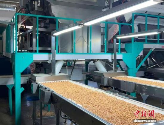 �������a(ch��n)����(�L(zh��ng)�����P(gu��n)���D)