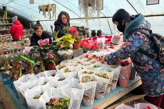 ����ُ(g��u)�I(m��i)������