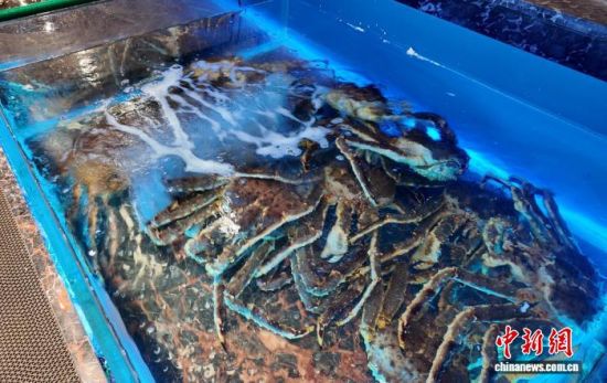 ���B(y��ng)����ĵ���з����߅��ί������ ���D