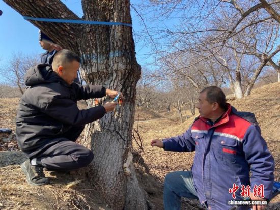 �����ˆT���ڌ�(du��)��������������w�z�������� �z