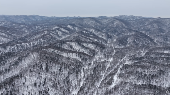 ���AƤ���(zh��n)ĵ���X�� �������ý�w���Ĺ��D