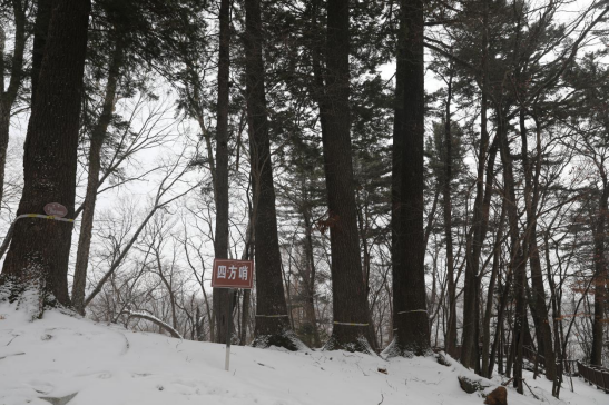 �ķ��������ڵ��� �������ý�w���Ĺ��D