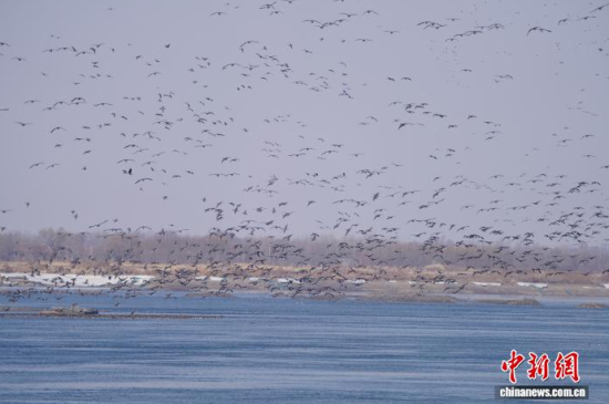 �B��^�������Ժ��������� �z