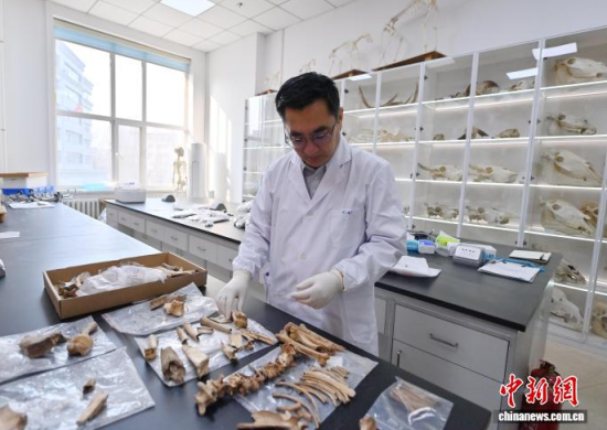 3��20�գ������L(zh��ng)�����̴�������ӱ��������� �z