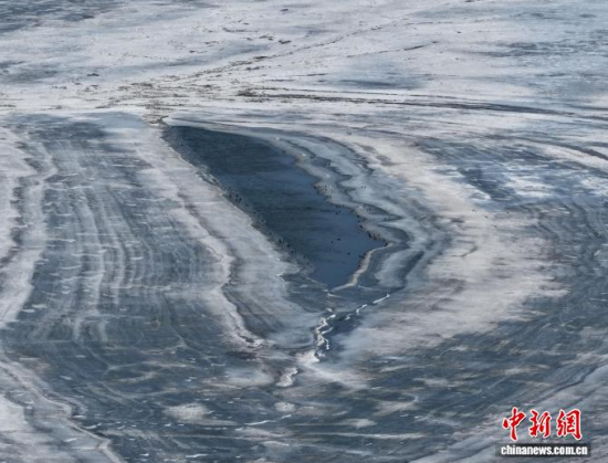 3��16���������(zh��n)�l�������������������BͣЪҒʳ���������� �z