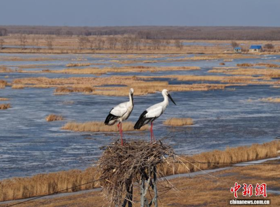 3��16���������(zh��n)�l��һ���|�����X��ĪĪ���صĳ����������������� �z