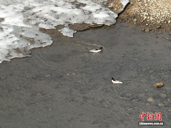 ���A��ɳ���ڼtʯ�օ^(q��)ˮ�������������L��ɽɭ�����F�tʯ�֘I(y��)���޹�˾���D