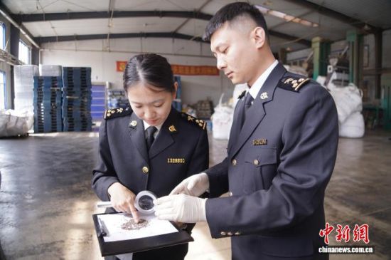 �L(zh��ng)��ɽ���P(gu��n)�P(gu��n)�T�_չ�����K�Ѳ��(y��n)���L(zh��ng)�����P(gu��n)���D