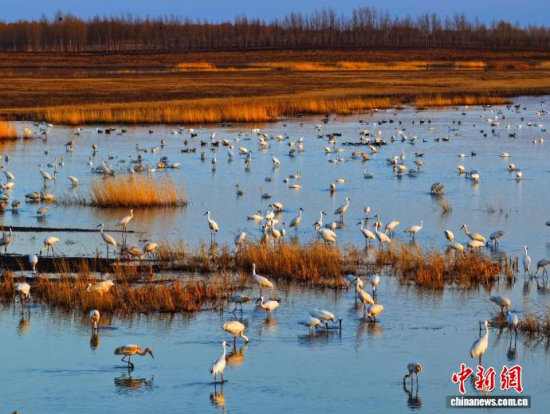 4��11���������(zh��n)�l�����Q����ϡ�B���ĪĪ����Ғʳ���������� �z